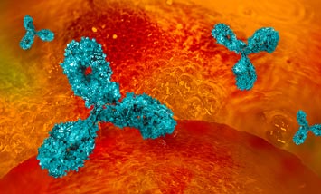 Das faszinierende Immunsystem Moleküle